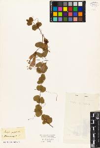 SW_BNB_s3010-08950_IMG-0000000001