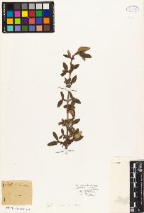 SW_BNB_s3010-08963_IMG-0000000001