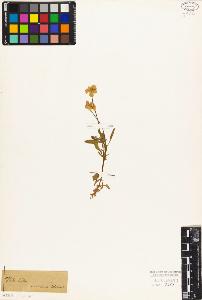 SW_BNB_s3010-08966_IMG-0000000001