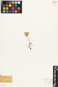 SW_BNB_s3010-08968_IMG-0000000001