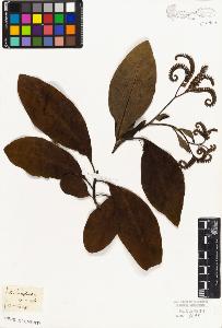 SW_BNB_s3010-08973_IMG-0000000001