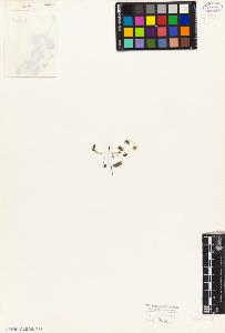 SW_BNB_s3010-08982_IMG-0000000001
