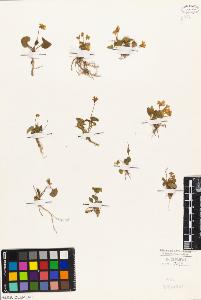 SW_BNB_s3010-08984_IMG-0000000001