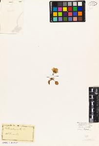 SW_BNB_s3010-08985_IMG-0000000001