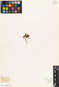 SW_BNB_s3010-08986_IMG-0000000001