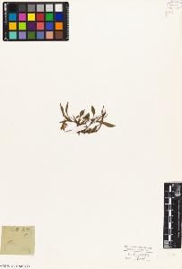 SW_BNB_s3010-08988_IMG-0000000001