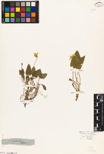 SW_BNB_s3010-08989_IMG-0000000001