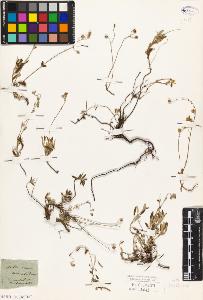 SW_BNB_s3010-09000_IMG-0000000001
