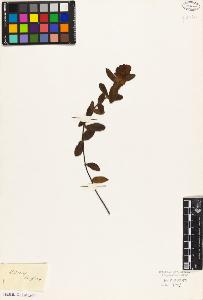 SW_BNB_s3010-09006_IMG-0000000001