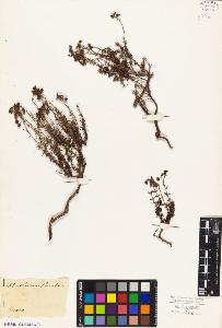 SW_BNB_s3010-09017_IMG-0000000001