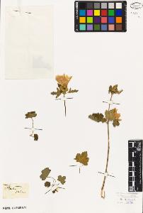 SW_BNB_s3010-09021_IMG-0000000001