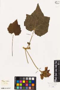 SW_BNB_s3010-09023_IMG-0000000001