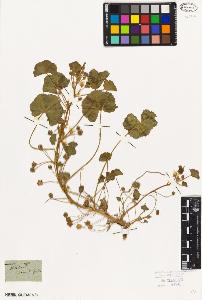 SW_BNB_s3010-09028_IMG-0000000001