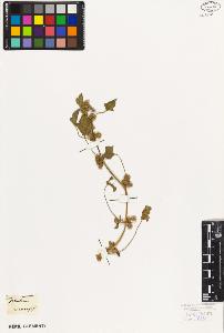 SW_BNB_s3010-09031_IMG-0000000001