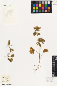 SW_BNB_s3010-09032_IMG-0000000001