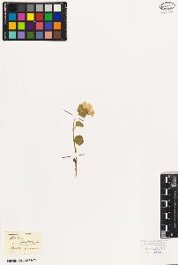SW_BNB_s3010-09034_IMG-0000000001