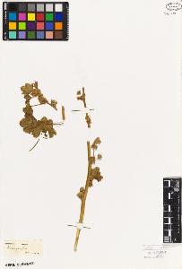 SW_BNB_s3010-09036_IMG-0000000001
