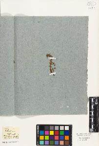 SW_BNB_s3010-09037_IMG-0000000001
