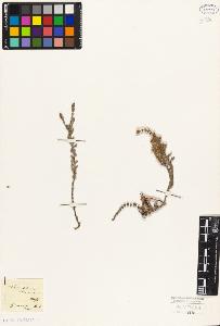 SW_BNB_s3010-09039_IMG-0000000001