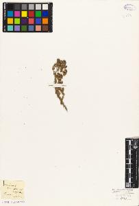 SW_BNB_s3010-09040_IMG-0000000001