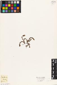 SW_BNB_s3010-09041_IMG-0000000001