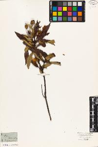 SW_BNB_s3010-09047_IMG-0000000001