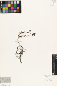 SW_BNB_s3010-09050_IMG-0000000001