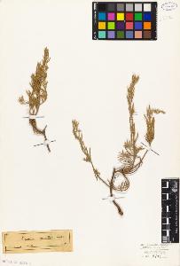 SW_BNB_s3010-09051_IMG-0000000001