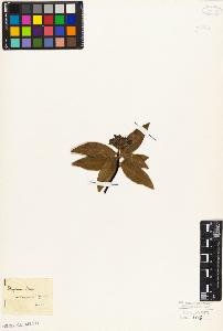 SW_BNB_s3010-09059_IMG-0000000001