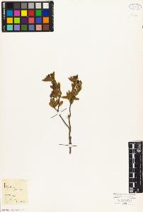 SW_BNB_s3010-09060_IMG-0000000001