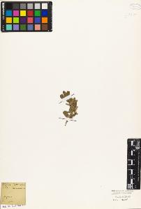 SW_BNB_s3010-09061_IMG-0000000001