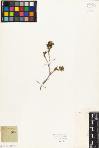 SW_BNB_s3010-09063_IMG-0000000001