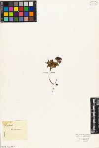 SW_BNB_s3010-09064_IMG-0000000001