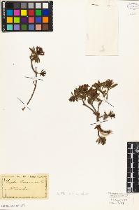SW_BNB_s3010-09065_IMG-0000000001