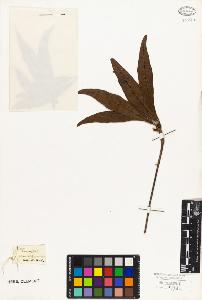 SW_BNB_s3010-09068_IMG-0000000001