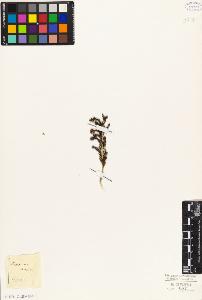 SW_BNB_s3010-09071_IMG-0000000001