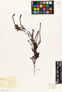 SW_BNB_s3010-09072_IMG-0000000001