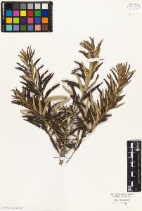 SW_BNB_s3010-09073_IMG-0000000001