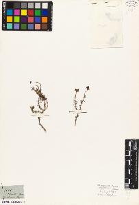 SW_BNB_s3010-09080_IMG-0000000001