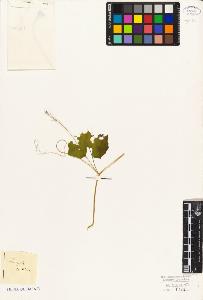 SW_BNB_s3010-09085_IMG-0000000001