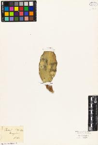SW_BNB_s3010-09088_IMG-0000000001