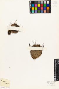 SW_BNB_s3010-09092_IMG-0000000001