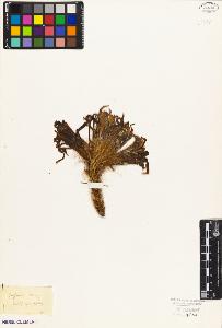 SW_BNB_s3010-09096_IMG-0000000001