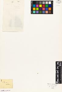 SW_BNB_s3010-09097_IMG-0000000001