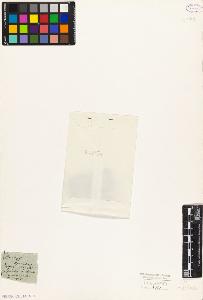 SW_BNB_s3010-09099_IMG-0000000001
