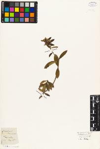 SW_BNB_s3010-09102_IMG-0000000001