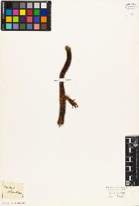 SW_BNB_s3010-09106_IMG-0000000001