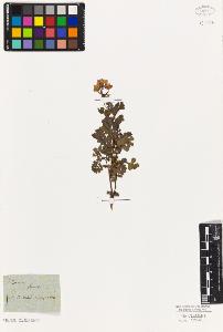 SW_BNB_s3010-09112_IMG-0000000001