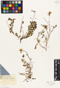SW_BNB_s3010-09114_IMG-0000000001