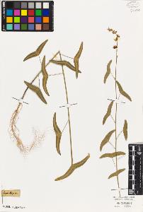 SW_BNB_s3010-09118_IMG-0000000001